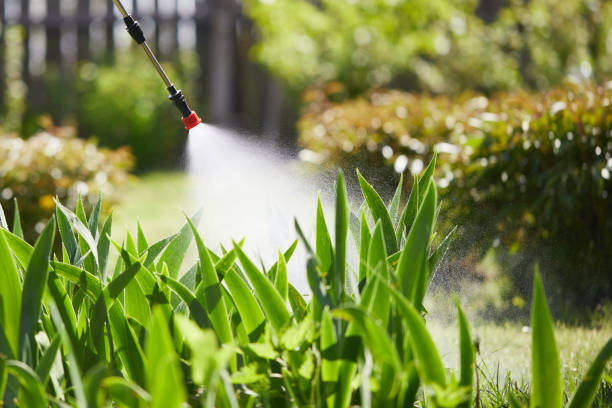 Tamper-Resistant Bait Stations for Rodents in Pine Grove