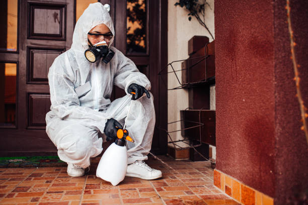 Attic and Crawl Space Rodent Treatment in Pine Grove