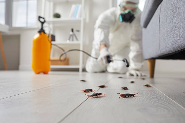 Commercial Rodent Management in Pine Grove